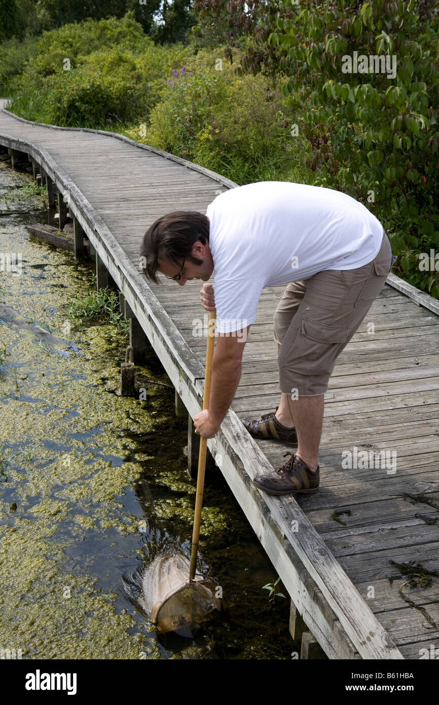 Field biologist collectiing specimens Stock Photo Alamy