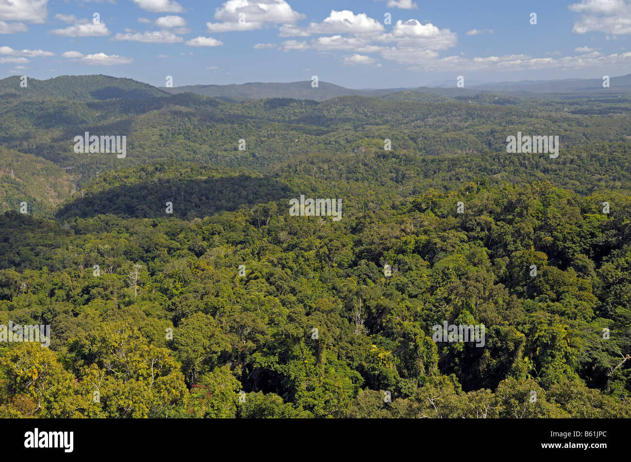 Primary rain forest hi-res stock photography and images - Alamy