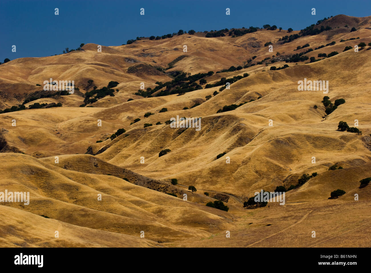 Rolling Hills California Stock Photo Alamy