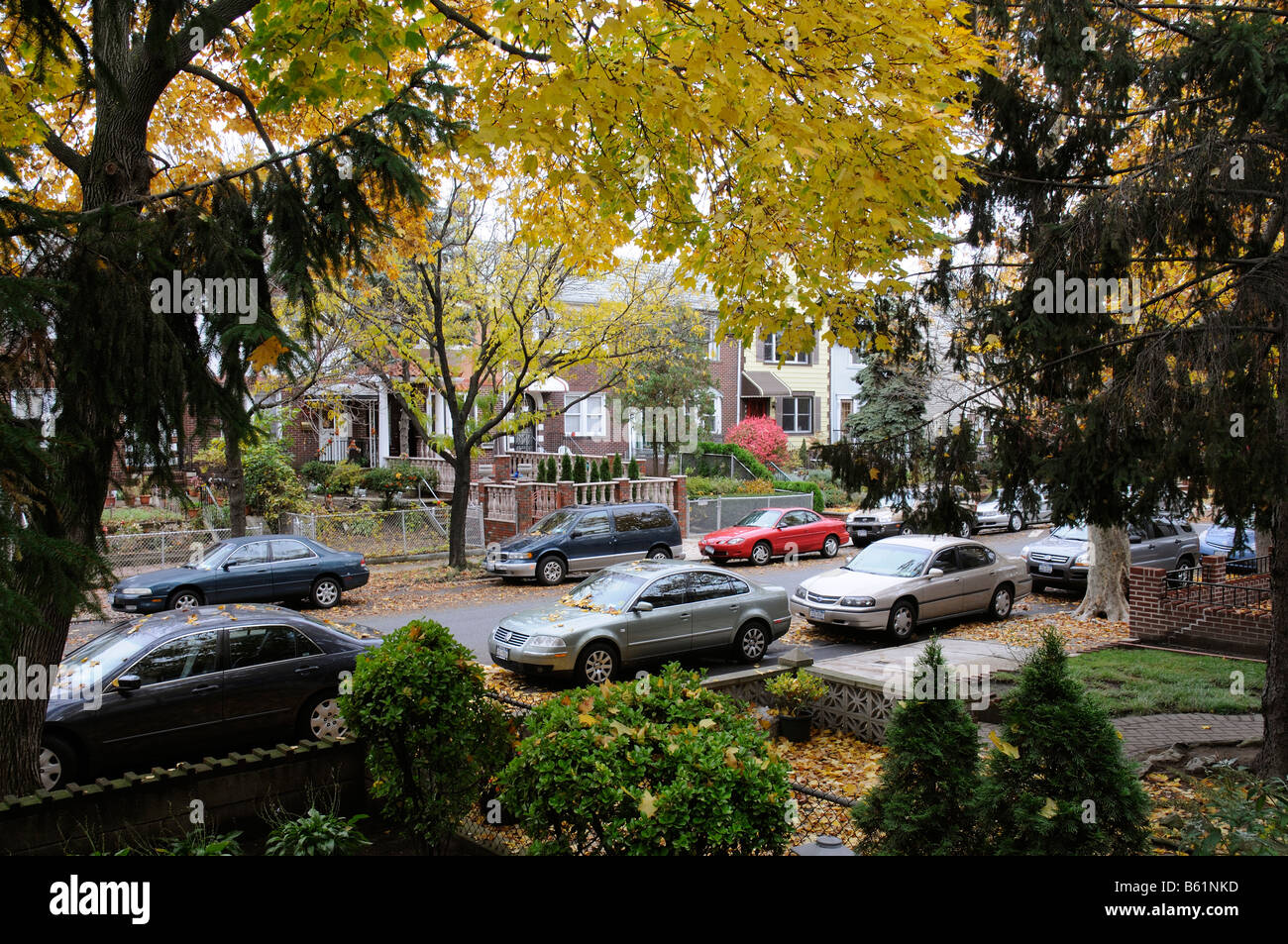 Suburban homes on a leafy street in Astoria Queens New York America USA Stock Photo