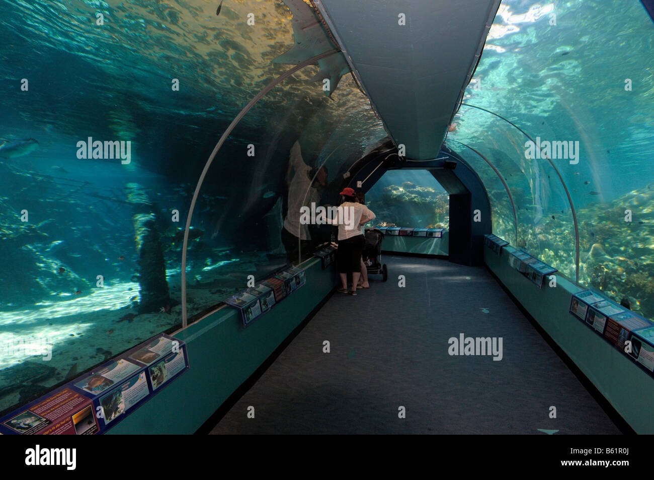 Tourists in the tunnel of the Reefworld HQ, the largest reef aquarium ...