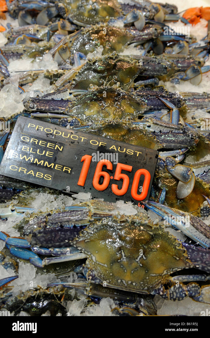 Fresh blue swimming crabs, fish market, Sydney, Australia Stock Photo
