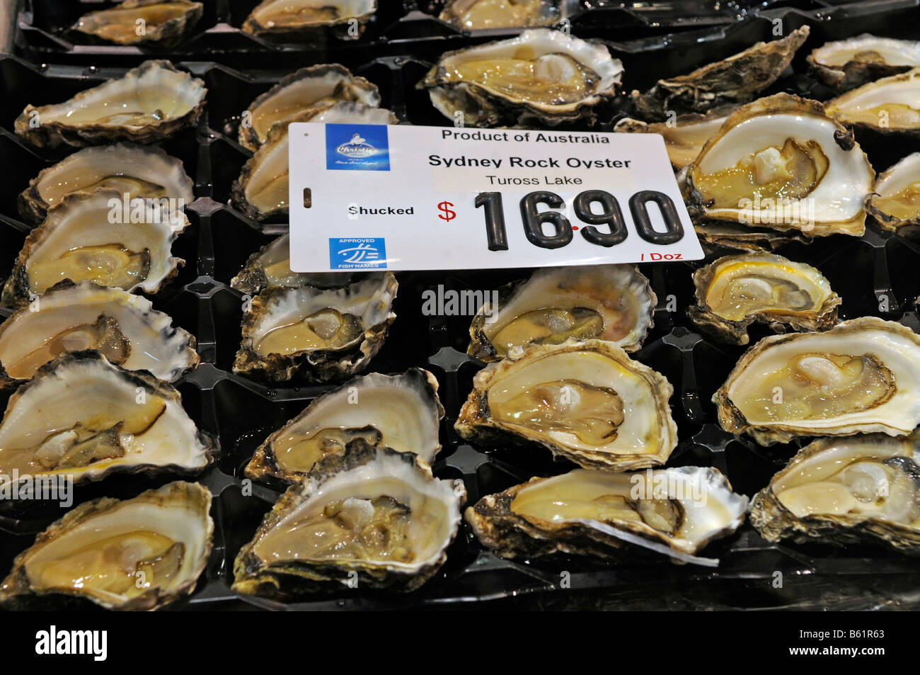 Fresh oysters, fish market, Sydney, Australia Stock Photo