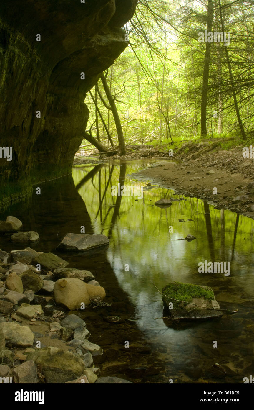 Reflections in Hemlock Draw Hemlock Creek on property owned by The Nature Conservancy Sauk County Wisconsin Stock Photo