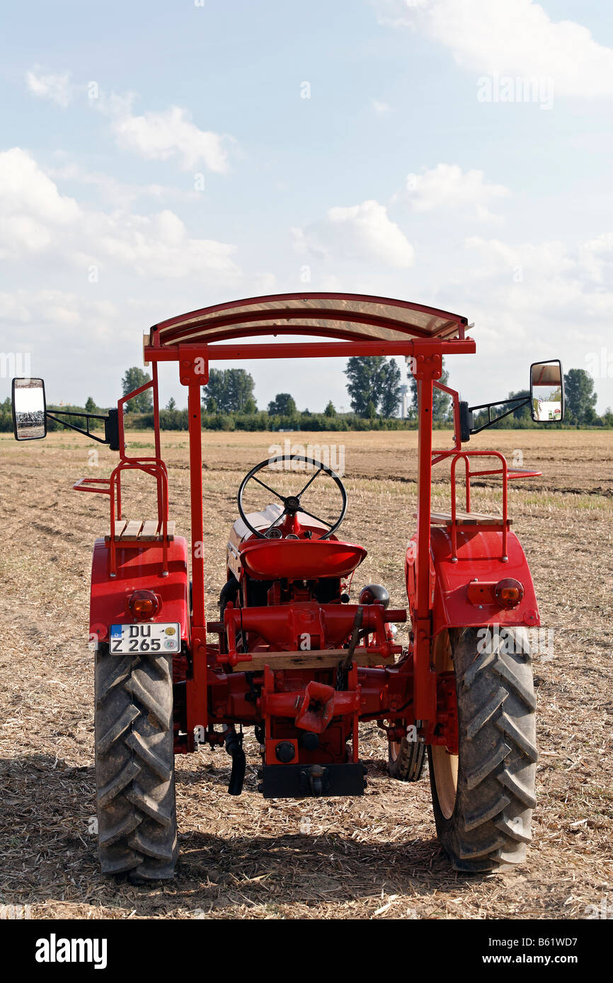 Vintage tractor in a field, porsche diesel, Angermunder Treckerfreunde, Duesseldorf, North Rhine-Westphalia, Germany, Europe Stock Photo