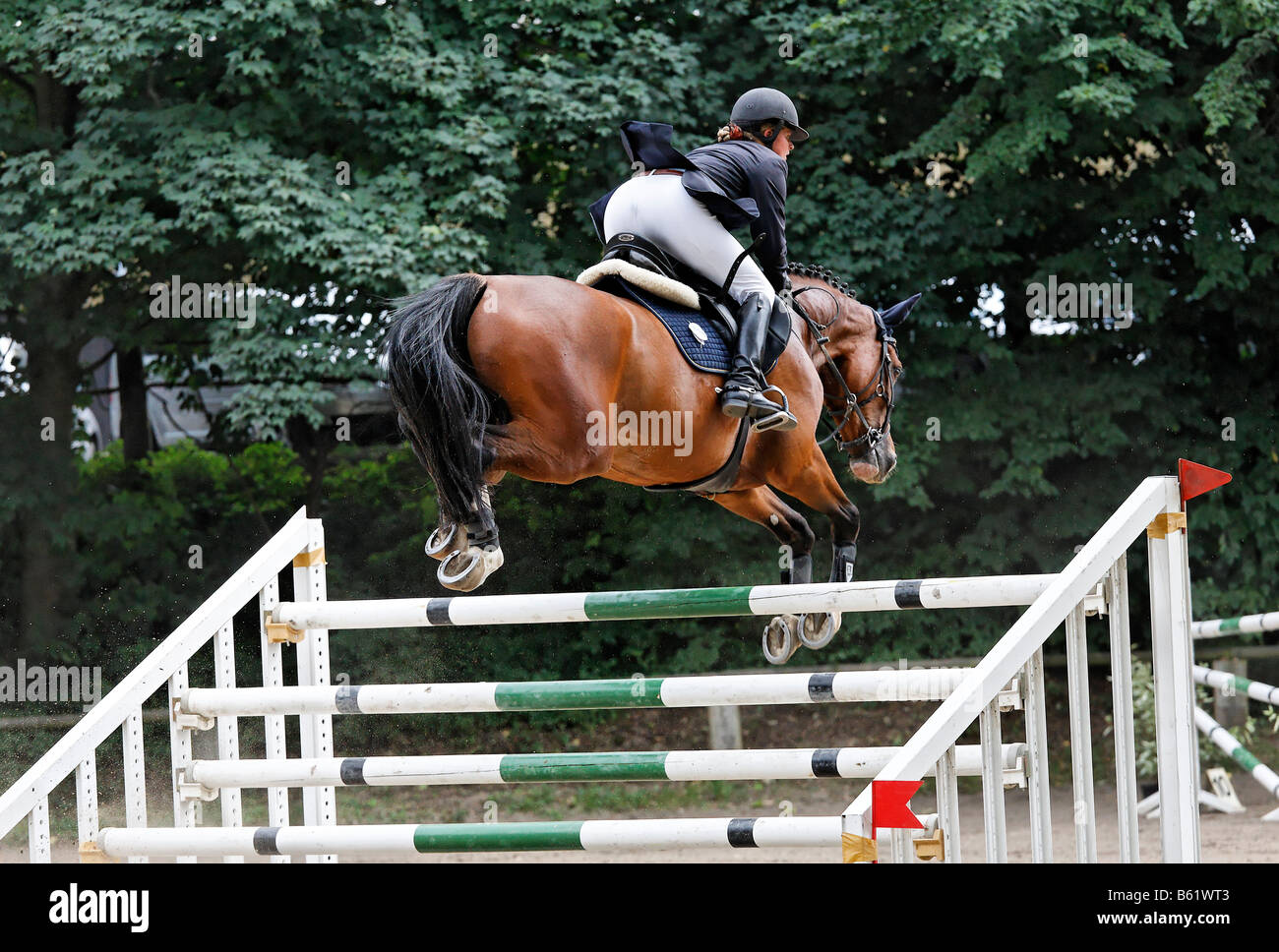 Female show jumper clearing the poles of a Triple Bar Jump during a