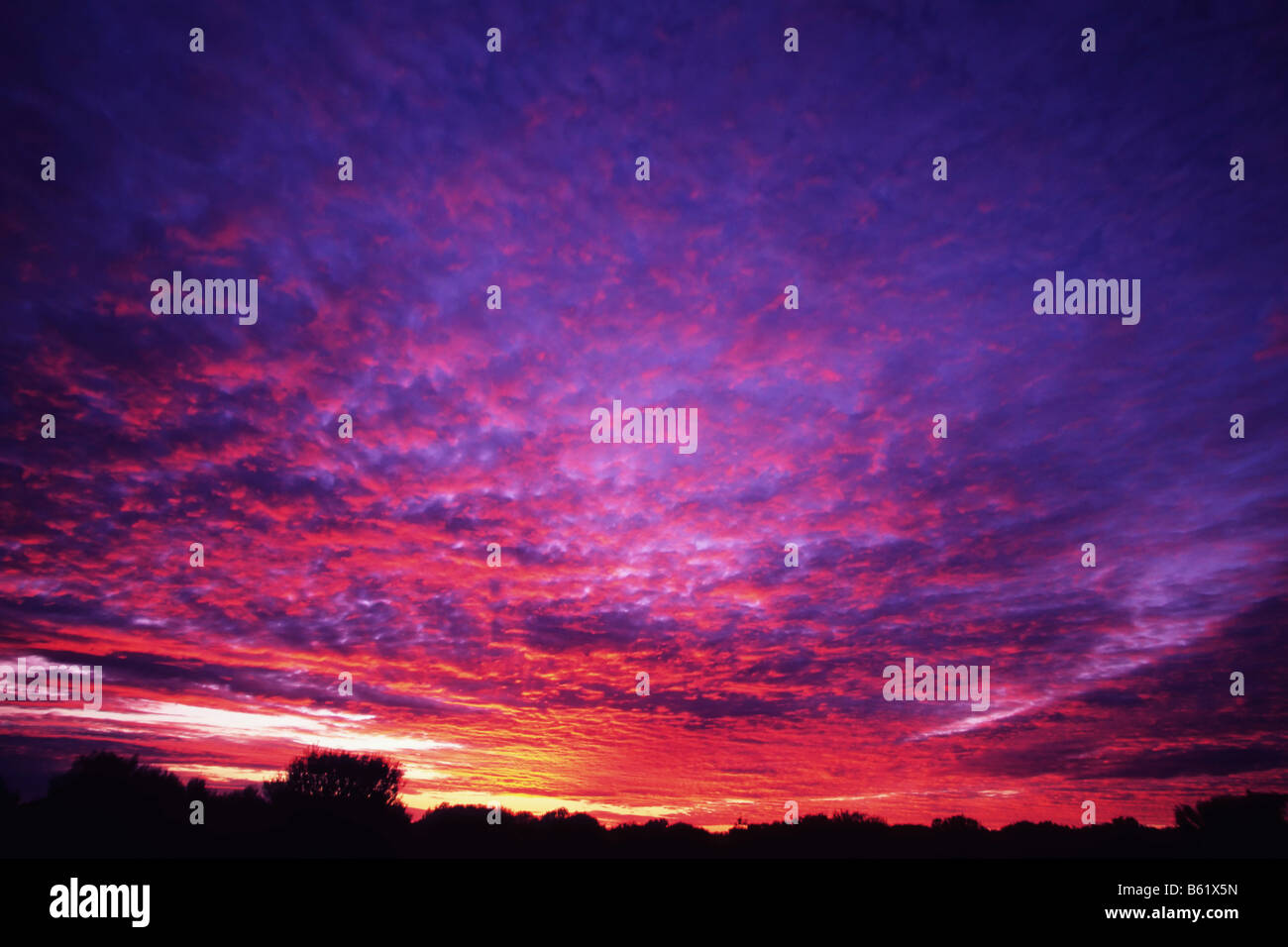 Sunrise at Uluru, Ayers Rock, Northern Territory, Australia Stock Photo