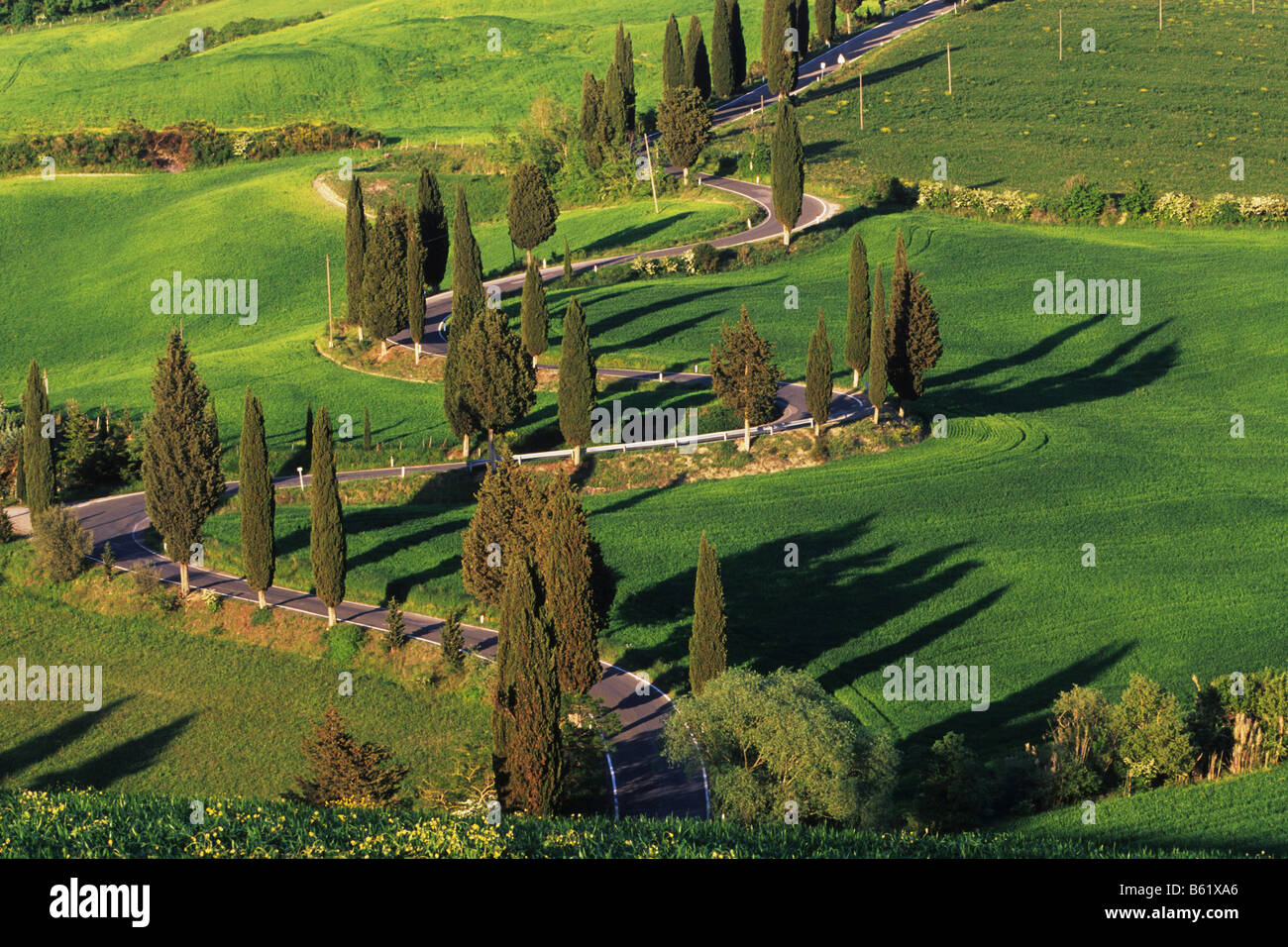 Winding road near Monticchiello, Tuscany, Italy, Europe Stock Photo - Alamy