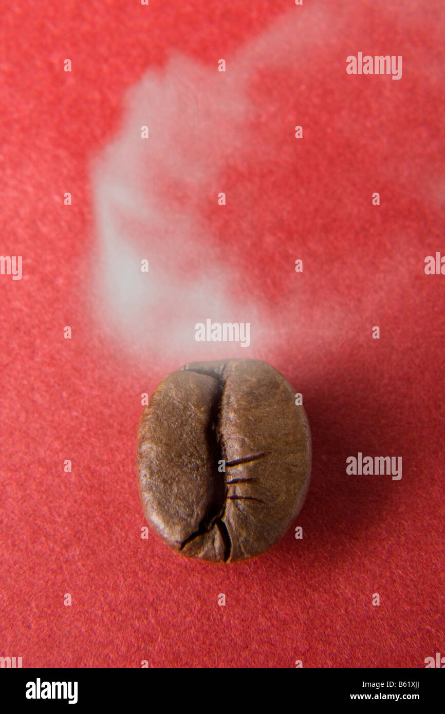Fragrant coffee bean Stock Photo