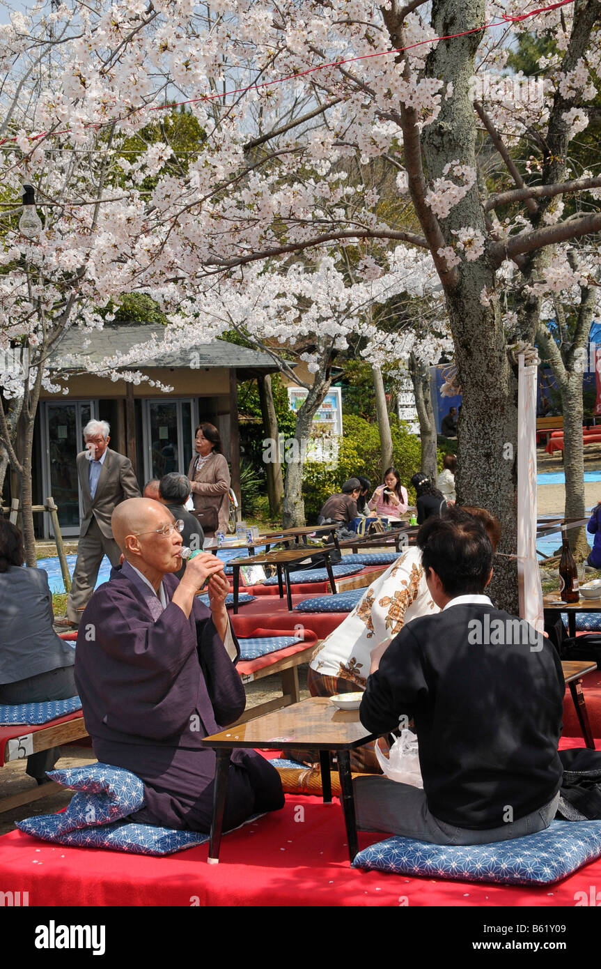 Man drinking sake or rice wine during the cherry blossom festival in the Maruyama Park, Kyoto, Japan, Asia Stock Photo