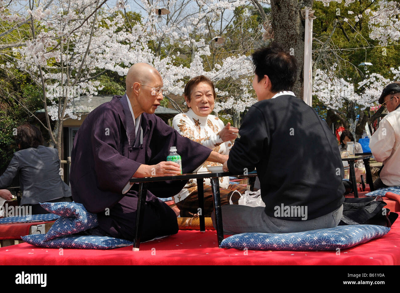 Man drinking sake or rice wine during the cherry blossom festival in