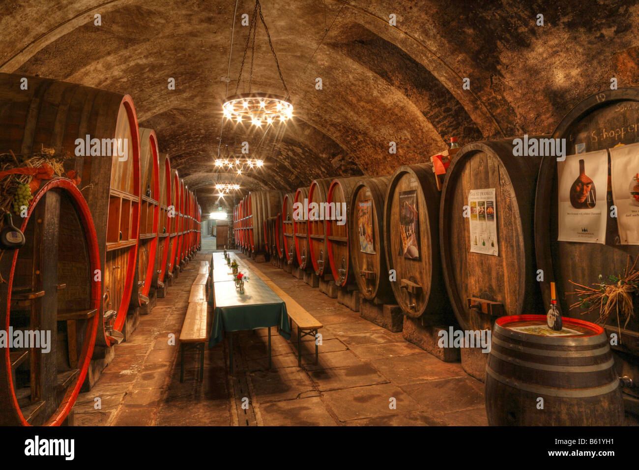Wine cellar, winemaker's cellar in Red Schloss Palace, Hammelburg, Rhoen Mountains, Lower Franconia, Bavaria, Germany, Europe Stock Photo