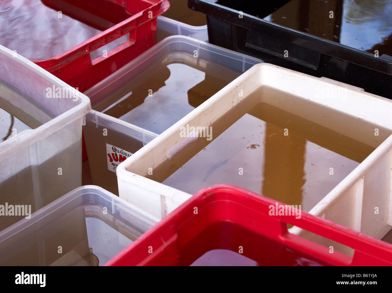 Collecting water in containers for home use during a drought Stock Photo Alamy