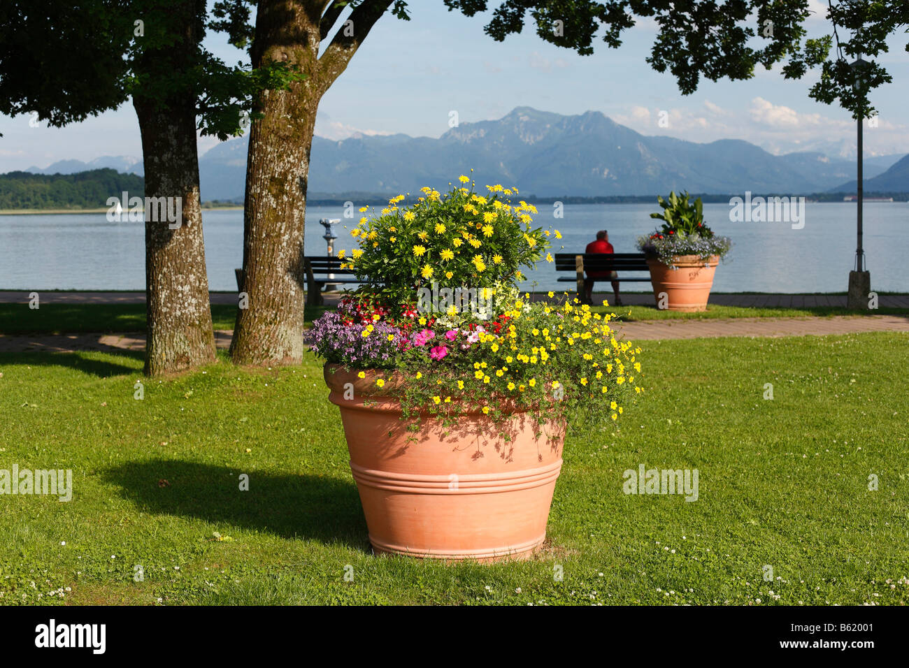 Flower tub on the lakeside promenade in Prien on Lake Chiemsee, Chiemgau, Upper Bavaria, Germany, Europe Stock Photo