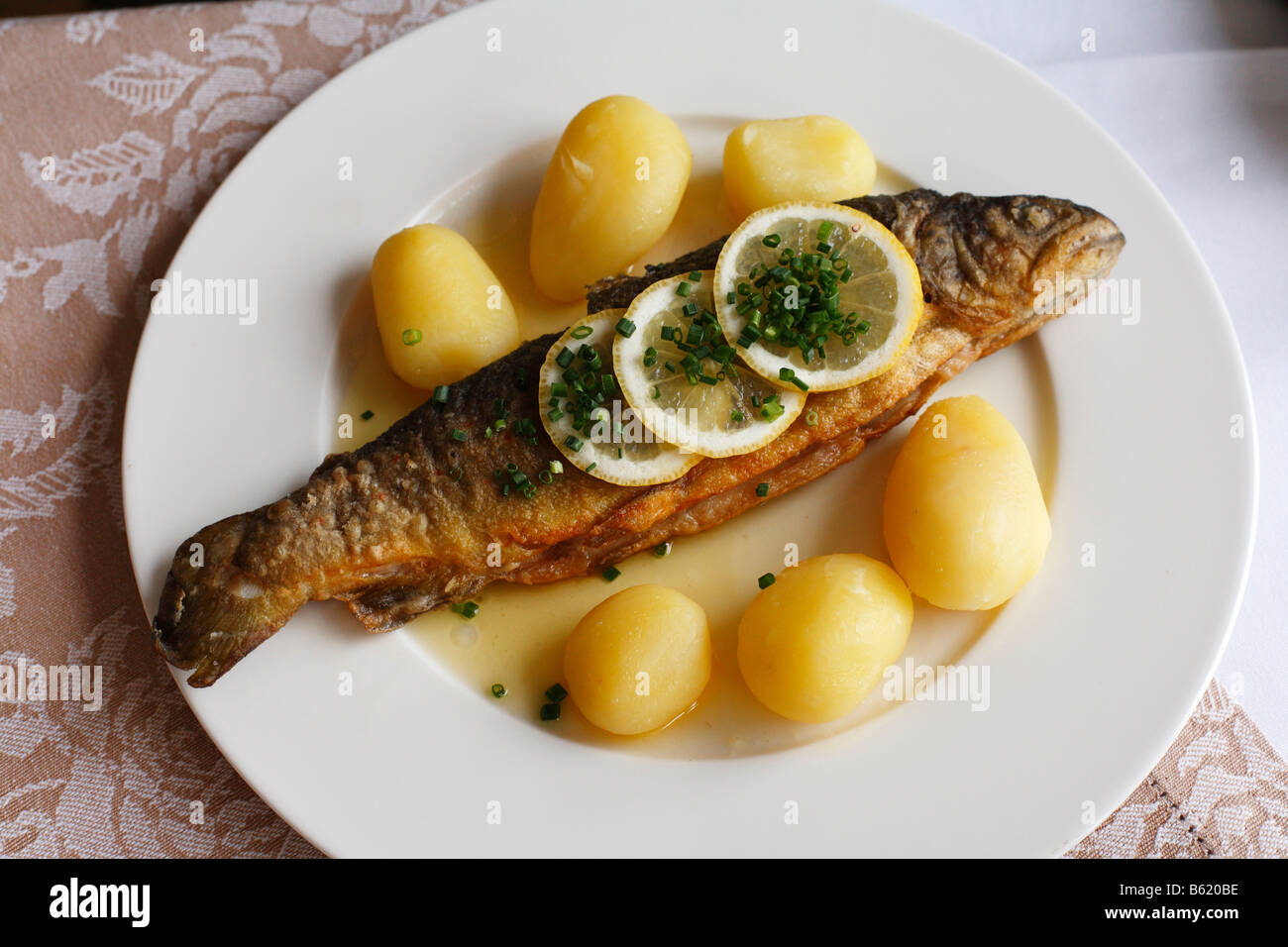 Trout with boiled potatoes and lemon slices, Rhoen, Hesse, Germany