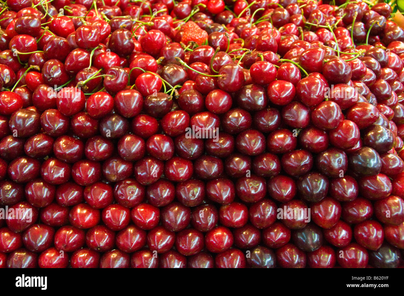 Cherries on sale at the covered market of Niort Deux Sèvres France Stock Photo