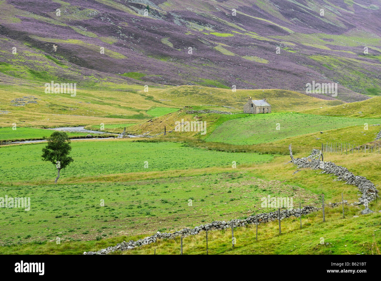 Meadow landscape of the Grampian Mountains, Scotland, Great Britain, Europe Stock Photo Alamy
