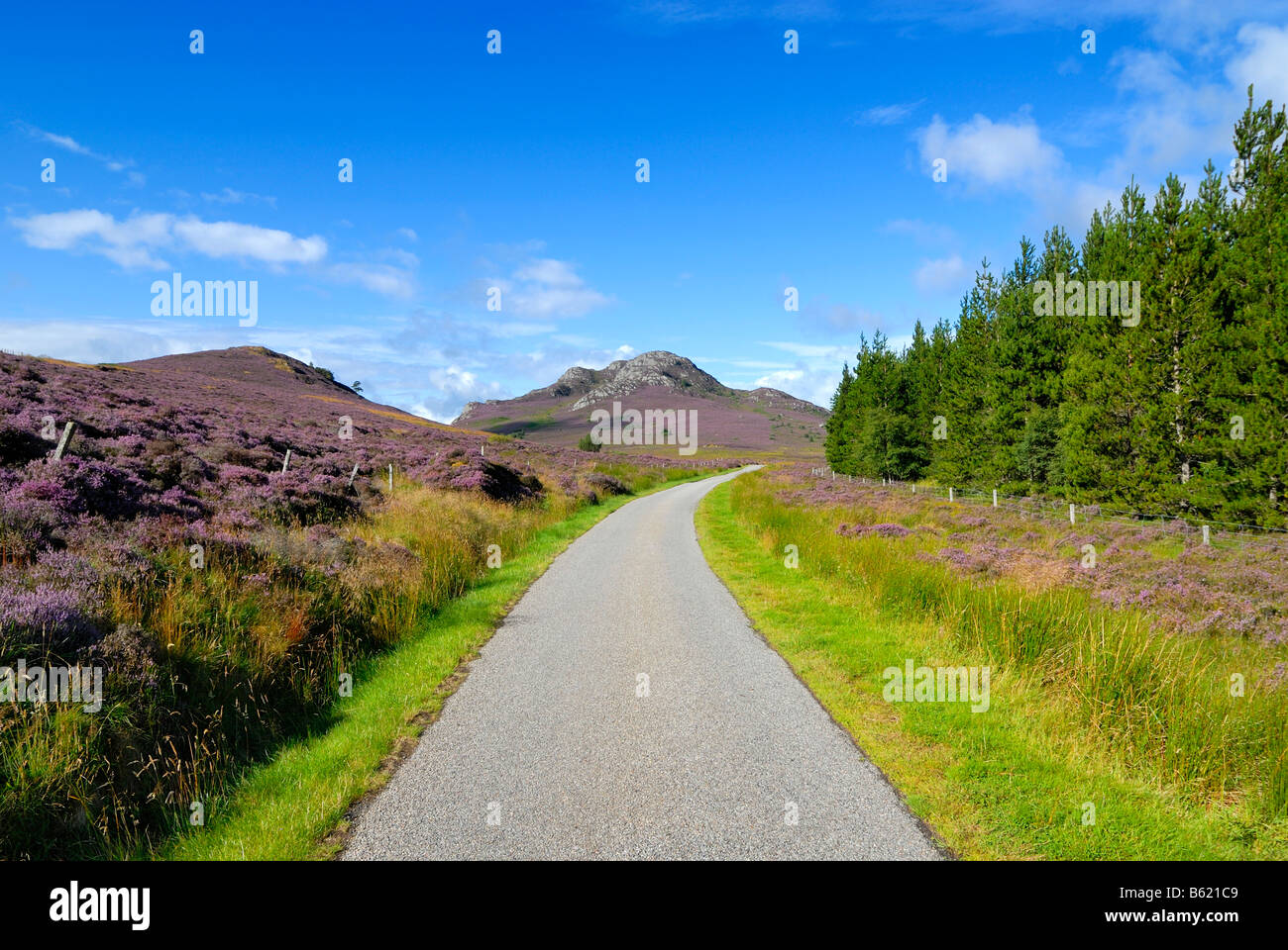 Online dating Highlands and Western Isles