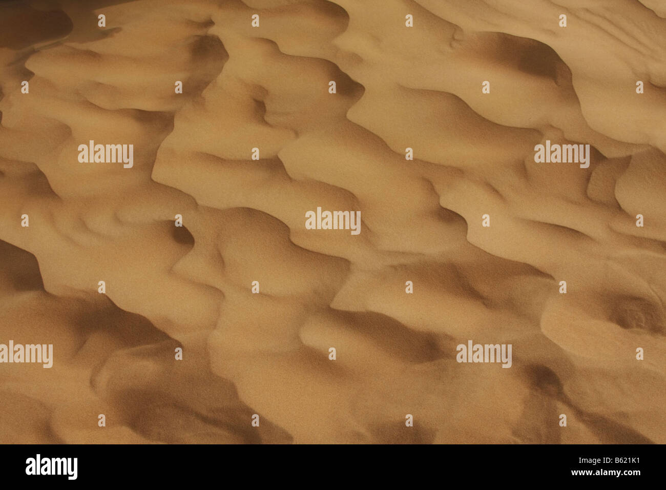 Sand Dunes In Dubai Stock Photo Alamy Sand Dunes In Dubai Stock Photo Alamy