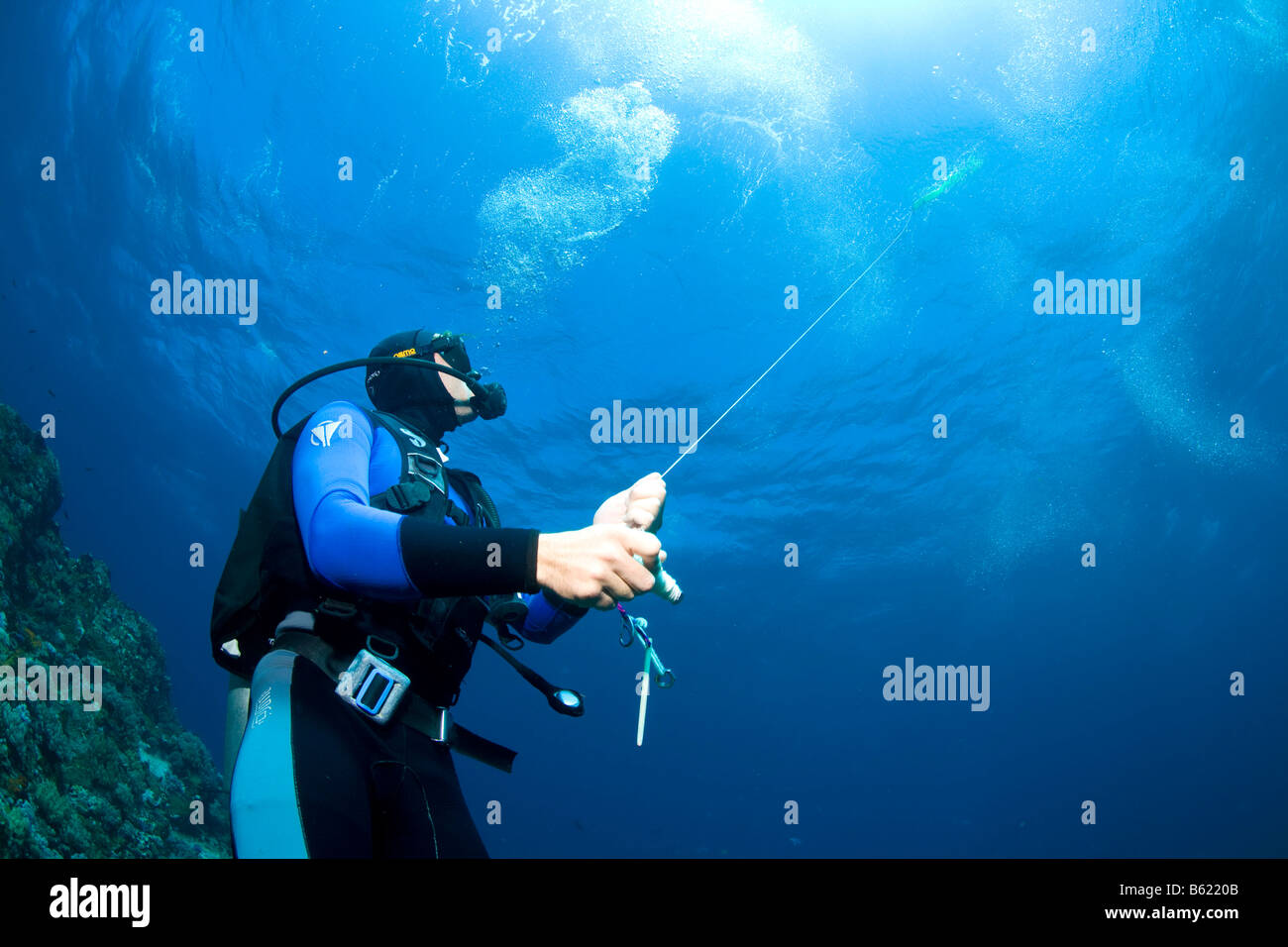 Scuba diver sending a lifebuoy to the water surface as an orientation for the boat crew Stock Photo