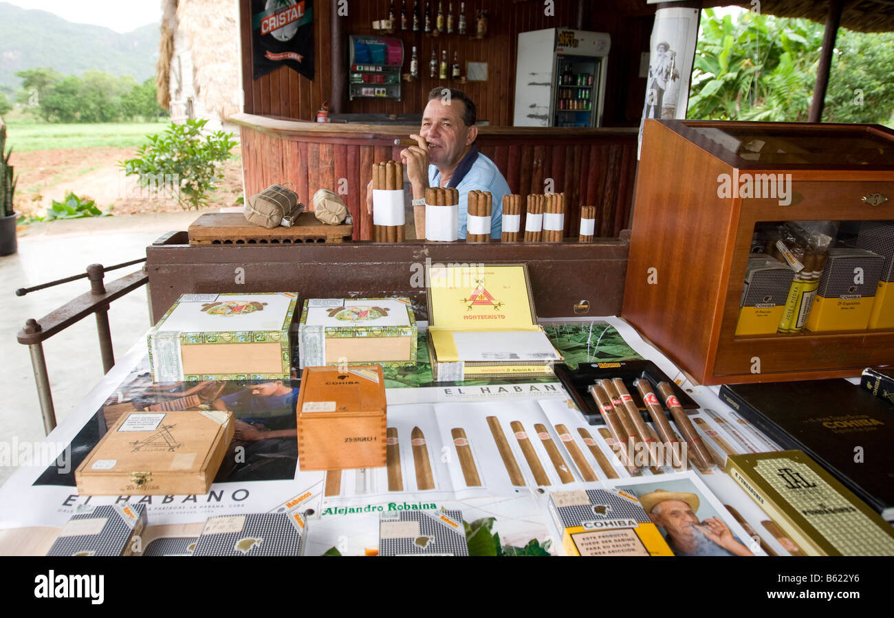 Cuban man selling cigars, Cohiba, Vinales, Cuba, Caribbean Stock Photo