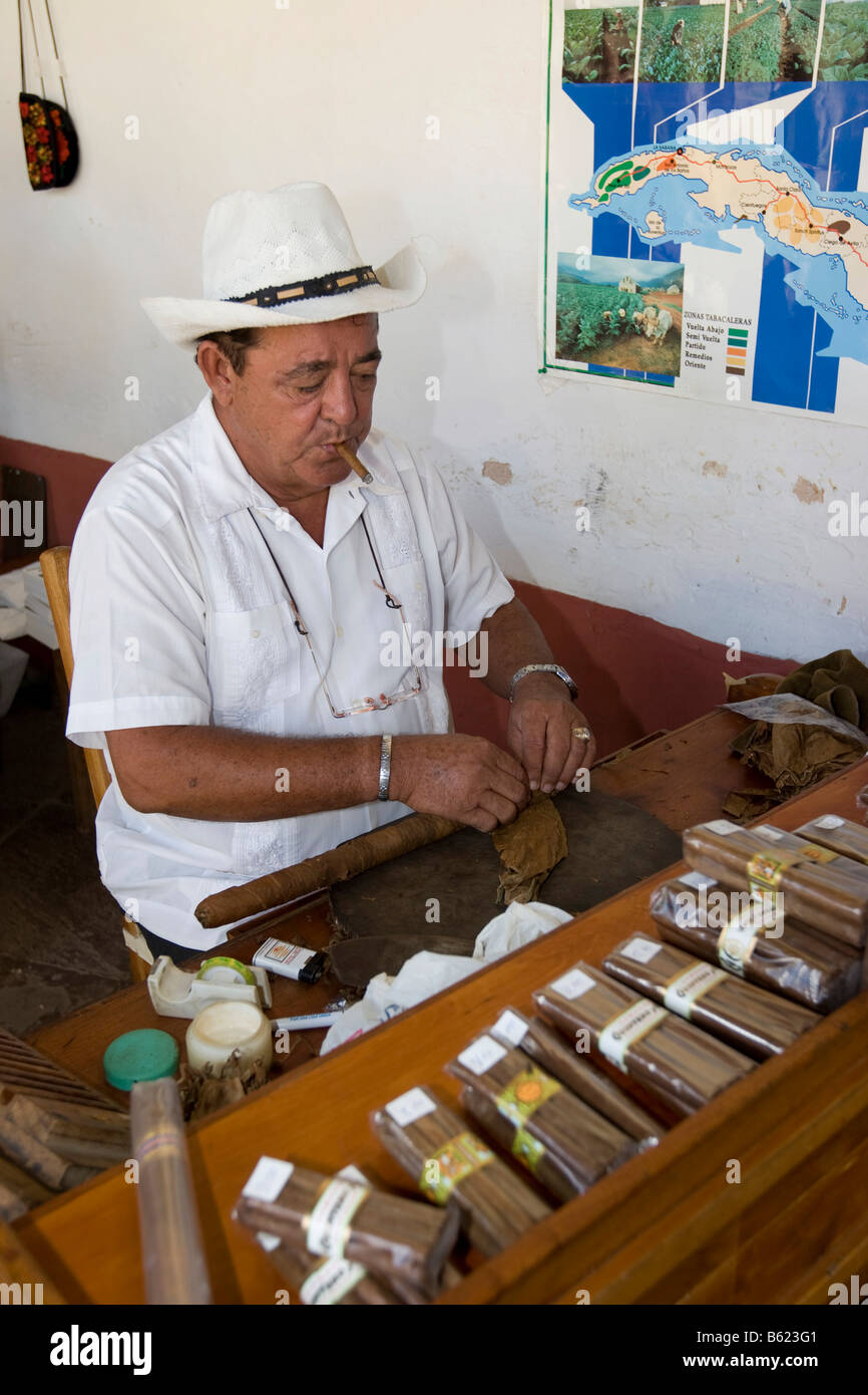 Cuban making a cigar from tobacco, Trinidad, Sancti Spíritus province, Cuba, Latin America, America Stock Photo