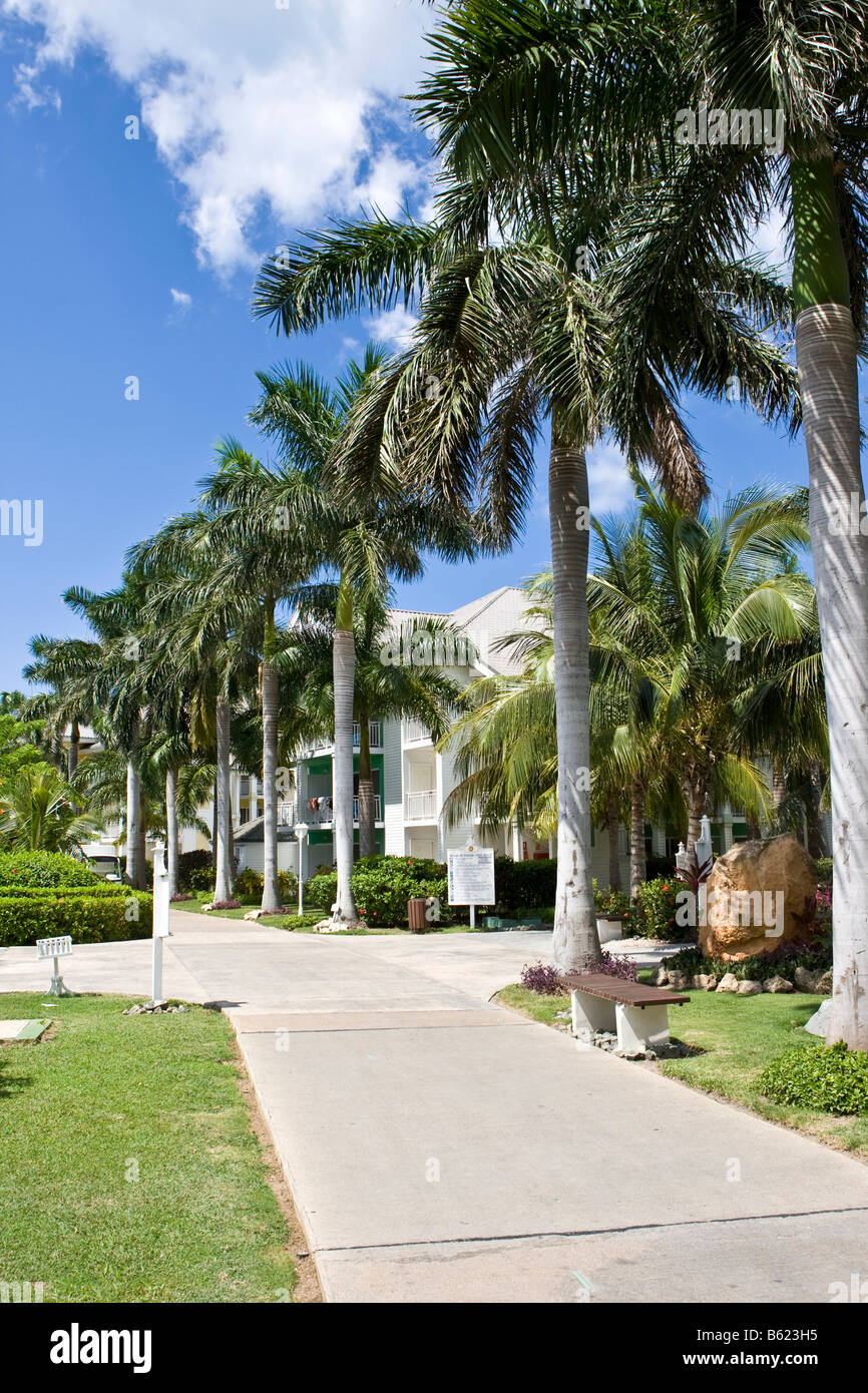 Cuban Royal Palms, Tryp Peninsula Hotel complex, Varadero, Cuba, Caribbean, America Stock Photo