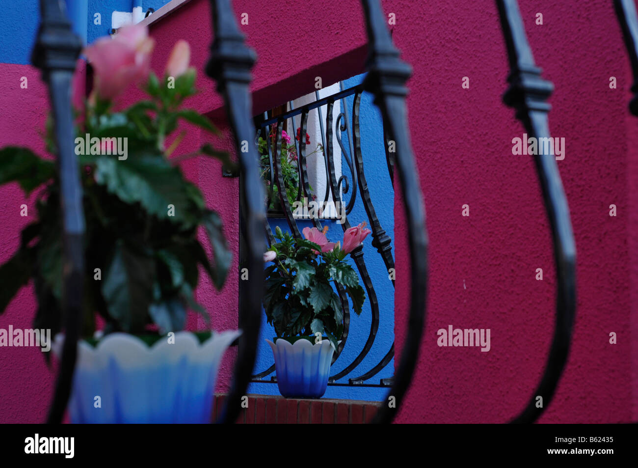 Bars, flower pot, facade, Burano Island, Venice, Italy, Europe Stock Photo