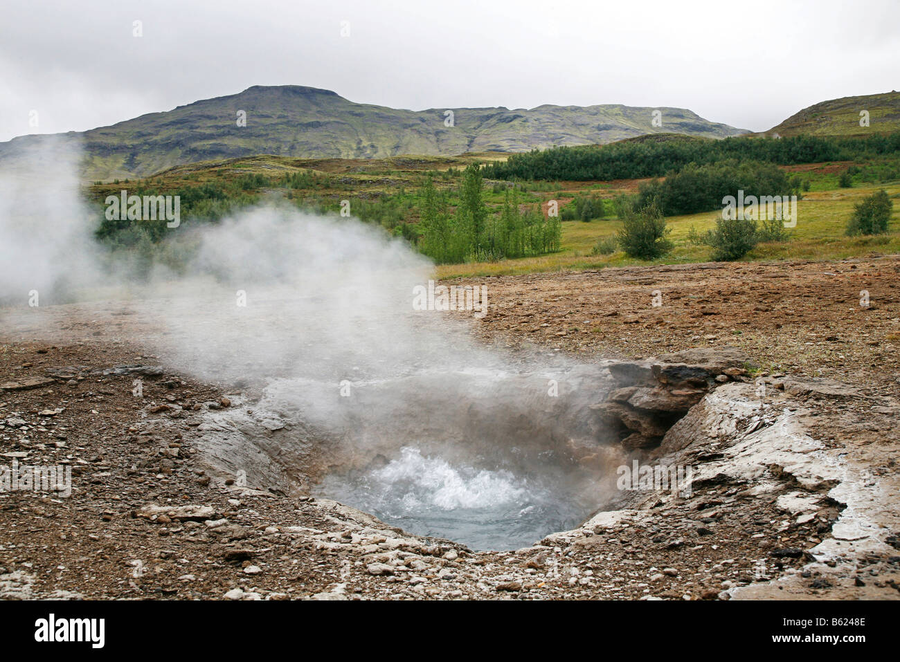 Hot, boiling and steaming spring, geothermal region of Haukadalur, Geysir, Iceland, Europe Stock Photo