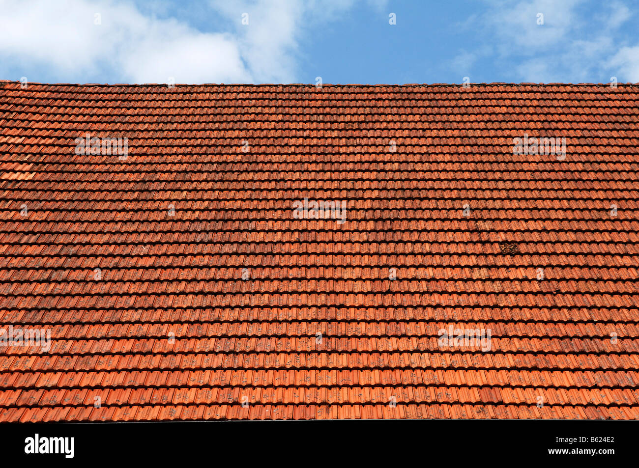 Roof of a cow barn, Igensdorf, Middle Franconia, Bavaria, Germany, Europe Stock Photo