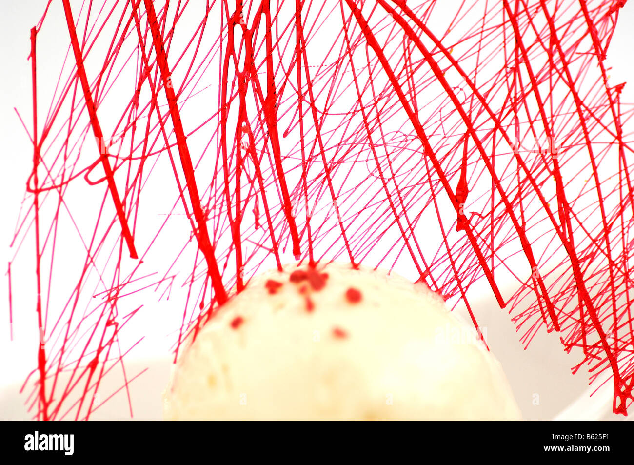 Tonka bean ice-cream with sugar web, food, haute cuisine Stock Photo
