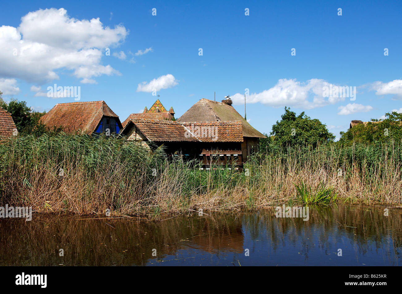 Village pond with apiary, behind alsation farmhouses, Eco-Museum, Ungersheim, Alsace, France, Europe Stock Photo