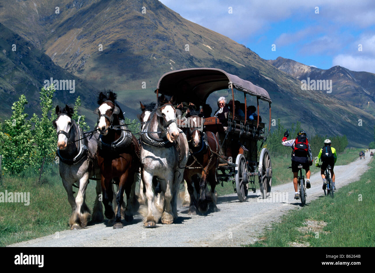 Mountainbikers passing a horse drawn carriage, Lake Wakatipu, Queenstown, South Island, New Zealand Stock Photo