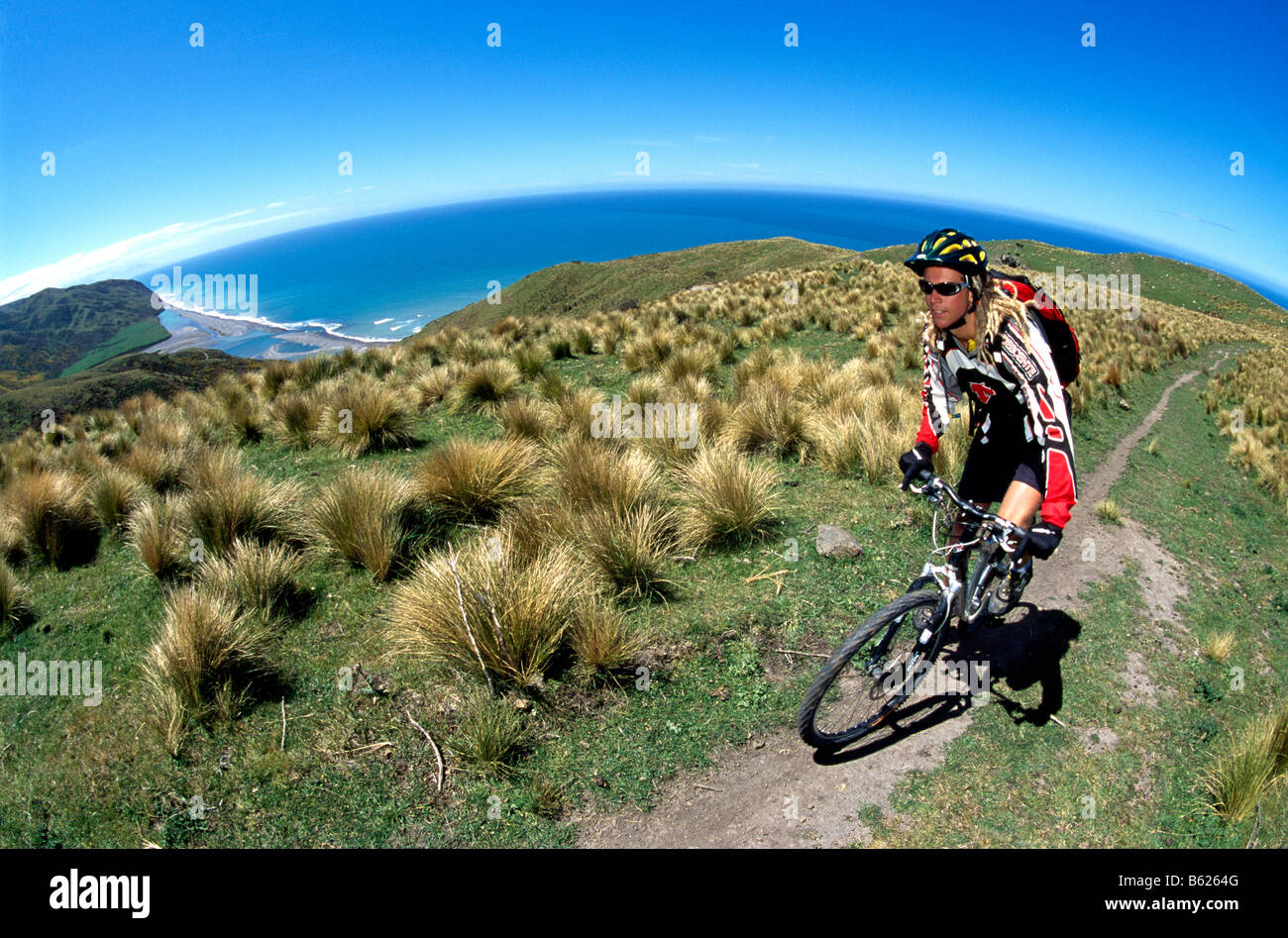 Mountainbiker, East Coast, South Island, New Zealand Stock Photo