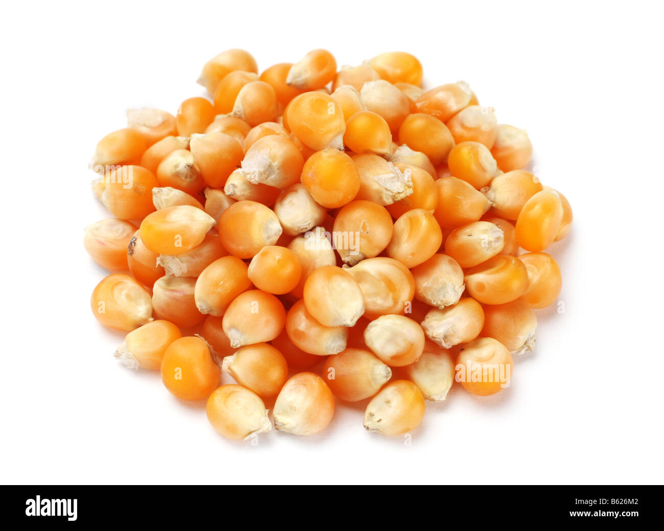Popcorn dry seed vegetable heap on white Stock Photo Alamy