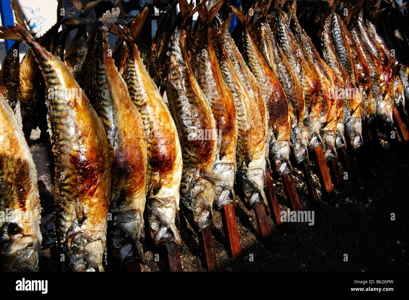 Staked fish in front of Fischer Vroni, Wies'n, Oktoberfest, Munich, Bavaria, Germany, Europe Stock Photo