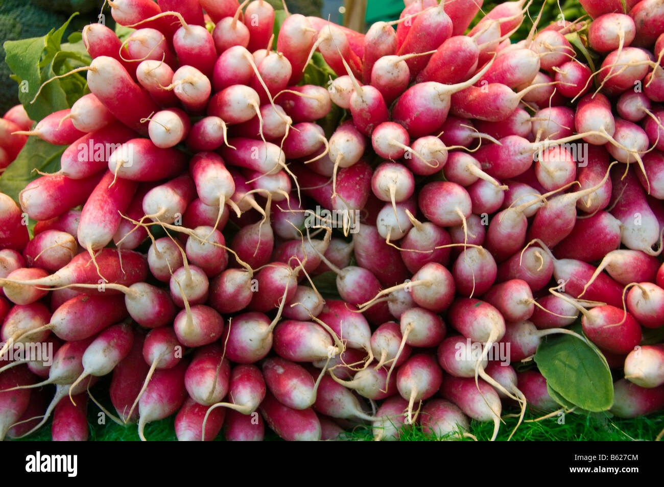 Radishes on sale at the covered market of Niort Deux Sèvres France Stock Photo