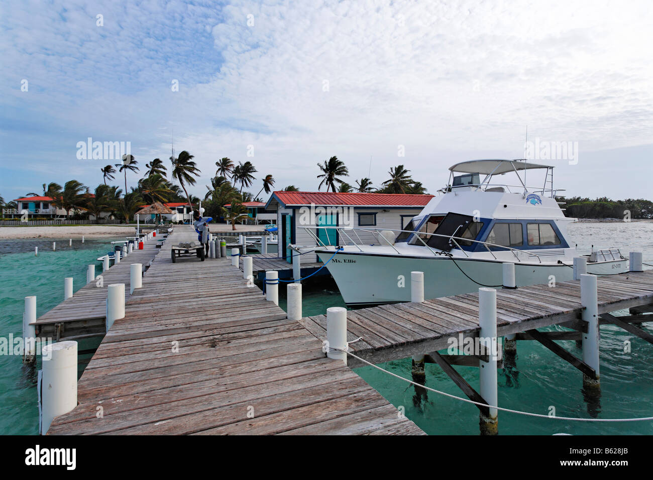 Jetty, Turneffe Flats, Turneffe Atoll, Belize, Central America, Caribbean Stock Photo