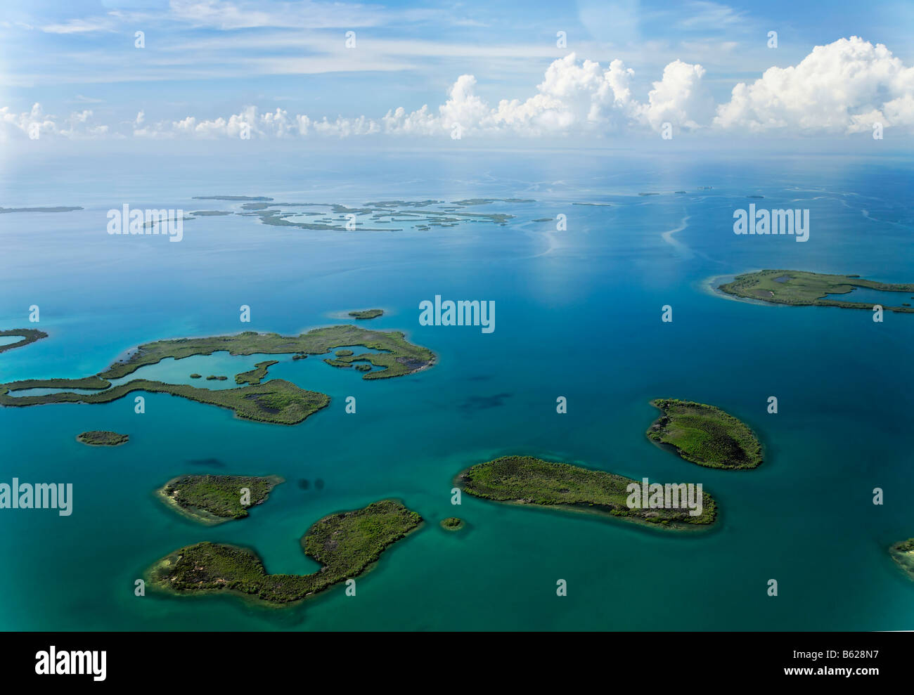 Mangroves in the ocean, aerial picture, coast between Dagria and Punta Gorda, Belize, Central America, Caribbean Stock Photo