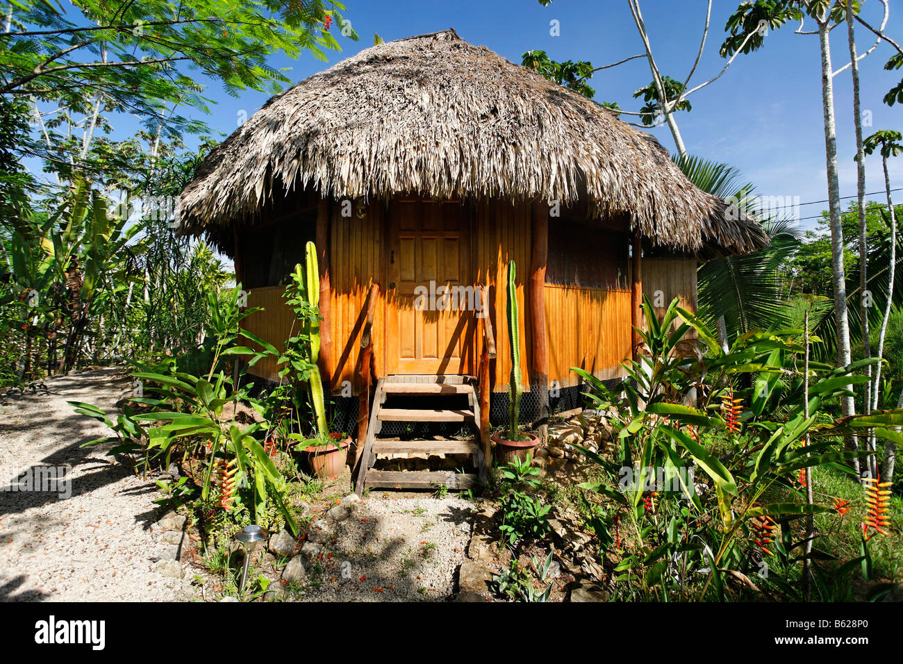 Bungalow with a thatched roof in the tropical forest, Punta Gorda, Belize, Central America, Caribbean Stock Photo