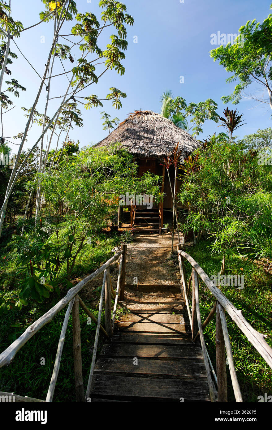 Bungalow with a thatched roof in the tropical forest, flimsy wooden bridge, Punta Gorda, Belize, Central America, Caribbean Stock Photo