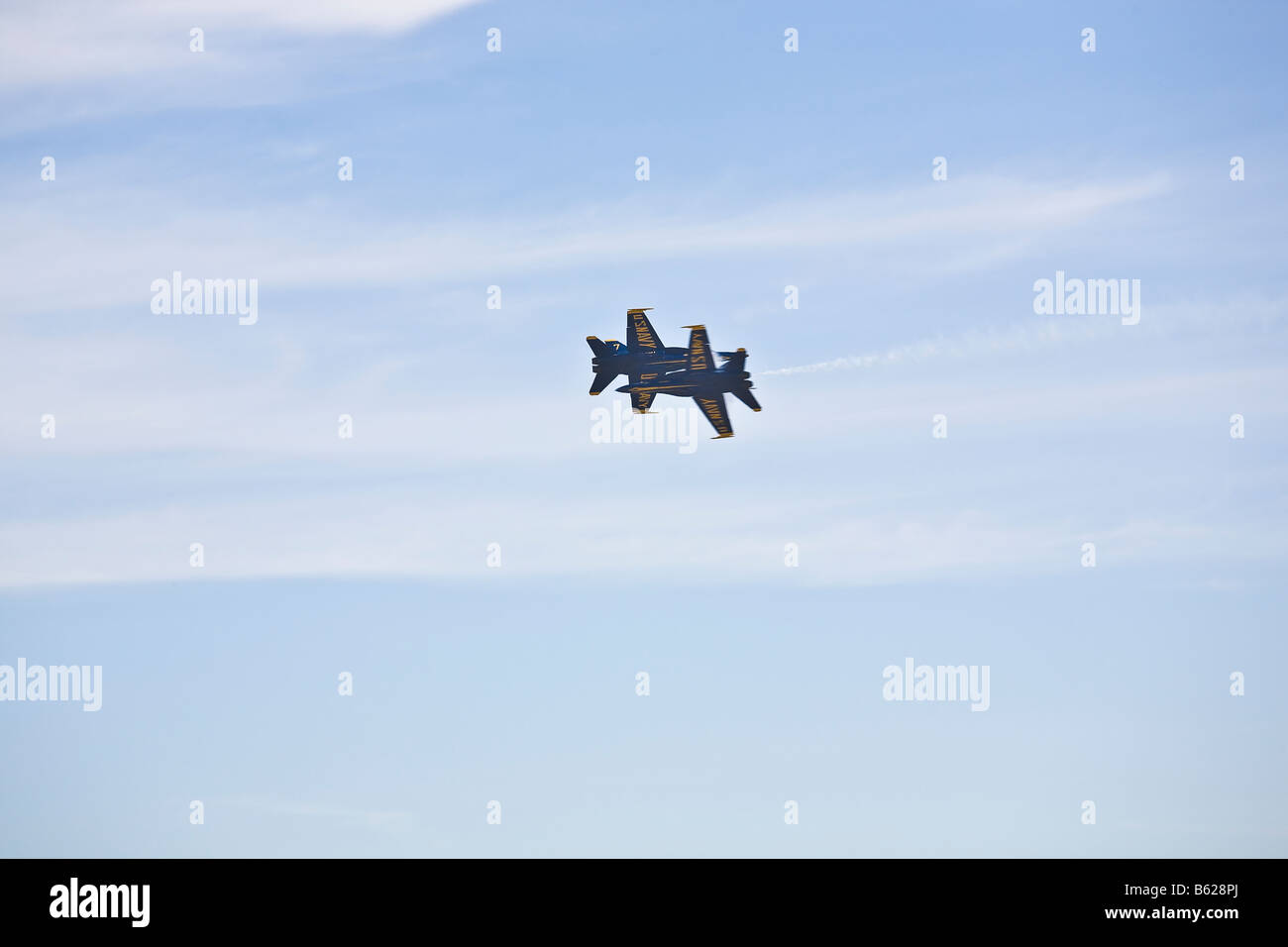 The US Navy Flight Demonstration Squadron, The Blue Angels, Fly In The - Foto 9