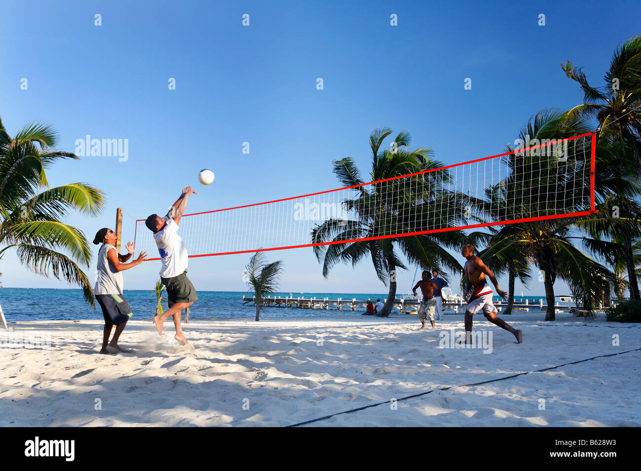 Tourists playing beach volleyball under palm trees, San Pedro, Ambergris Cay Island, Belize, Central America, Caribbean Stock Photo