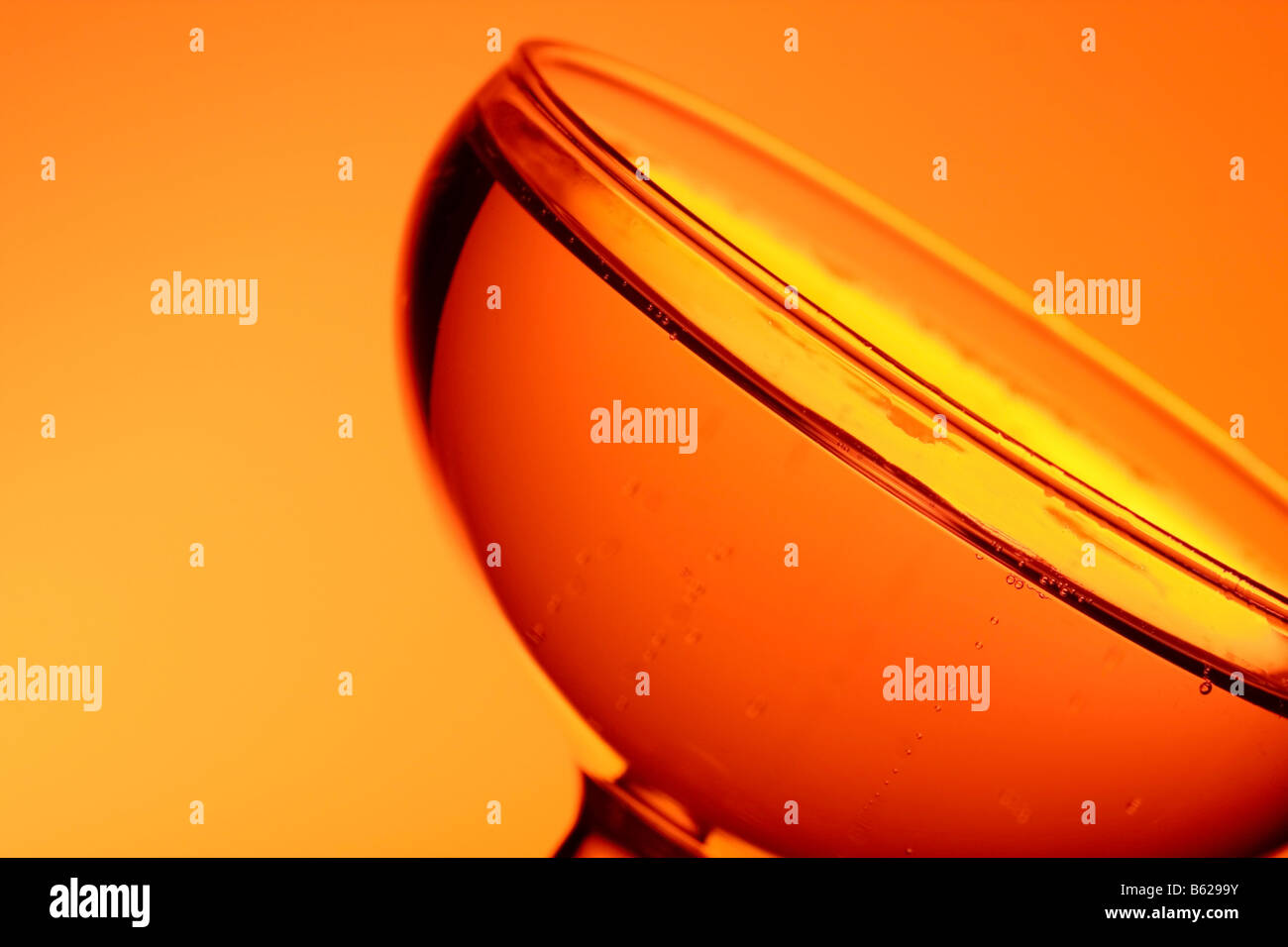 champagne traditional bowl shaped glass Stock Photo Alamy
