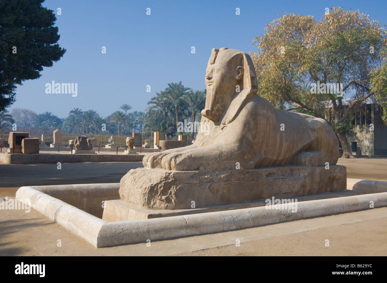 The Alabaster Sphinx at the historic site of Memphis Egypt Stock Photo ...