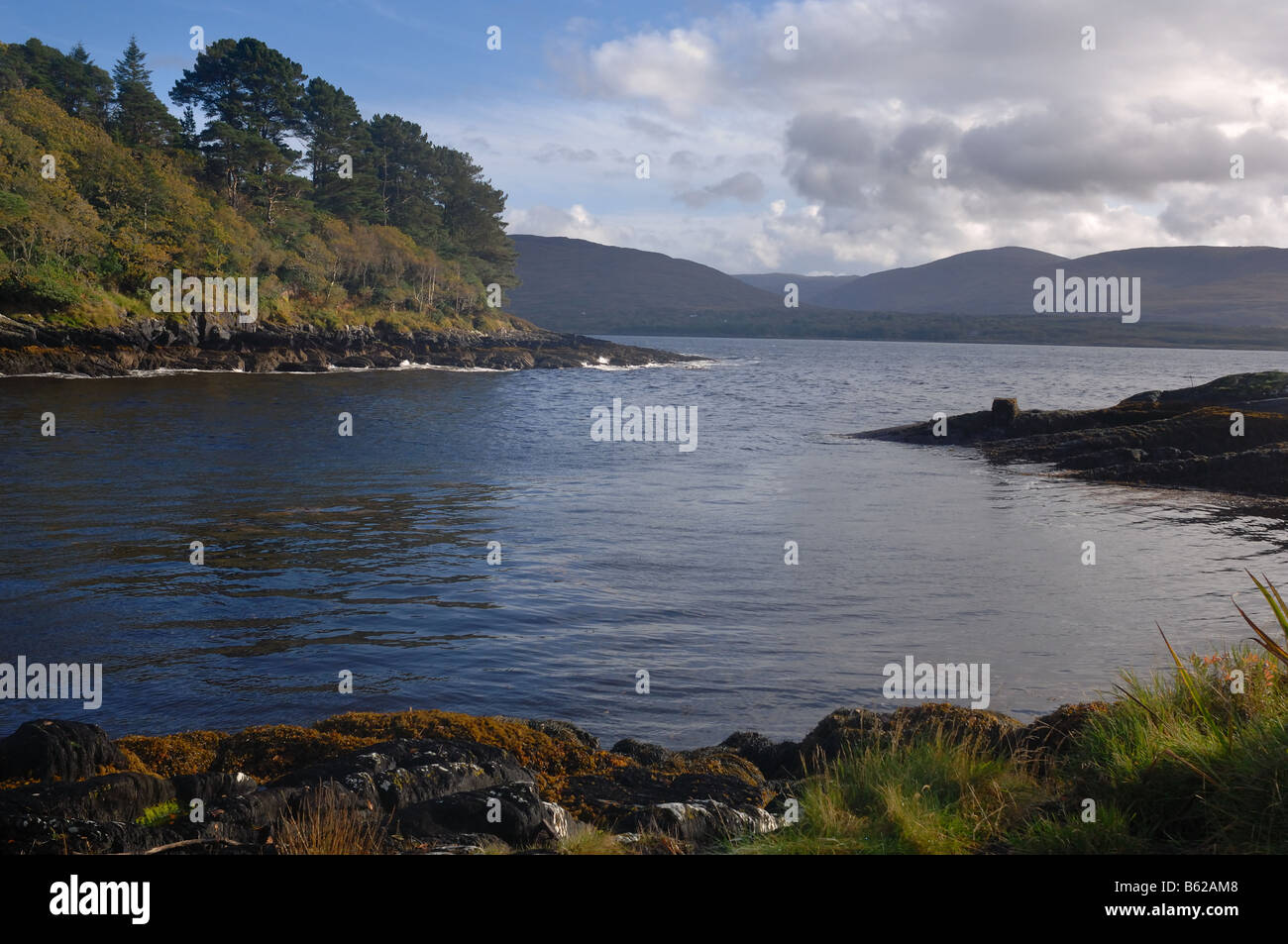 Blackwater river hires stock photography and images Alamy