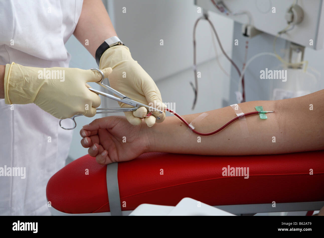 Hand during the taking of a blood sample Stock Photo