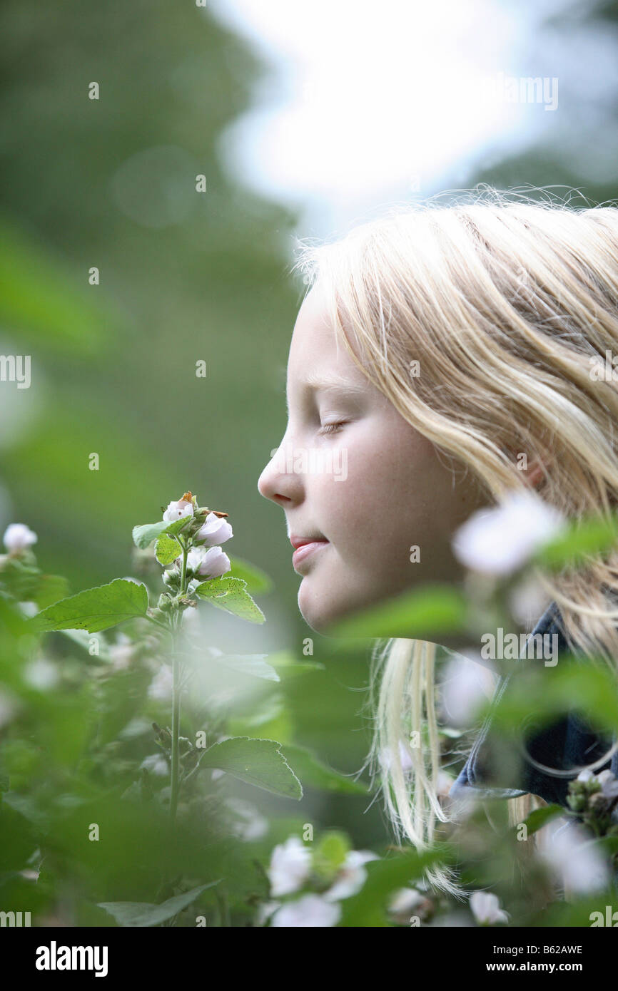 Girl, 11 years old, smelling, flower Stock Photo