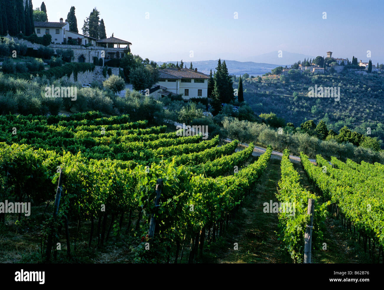Verrazzano vineyard and the Castello di Vicchiomaggio, Chianti, Florence, Firenze, Tuscany, Italy, Europe Stock Photo