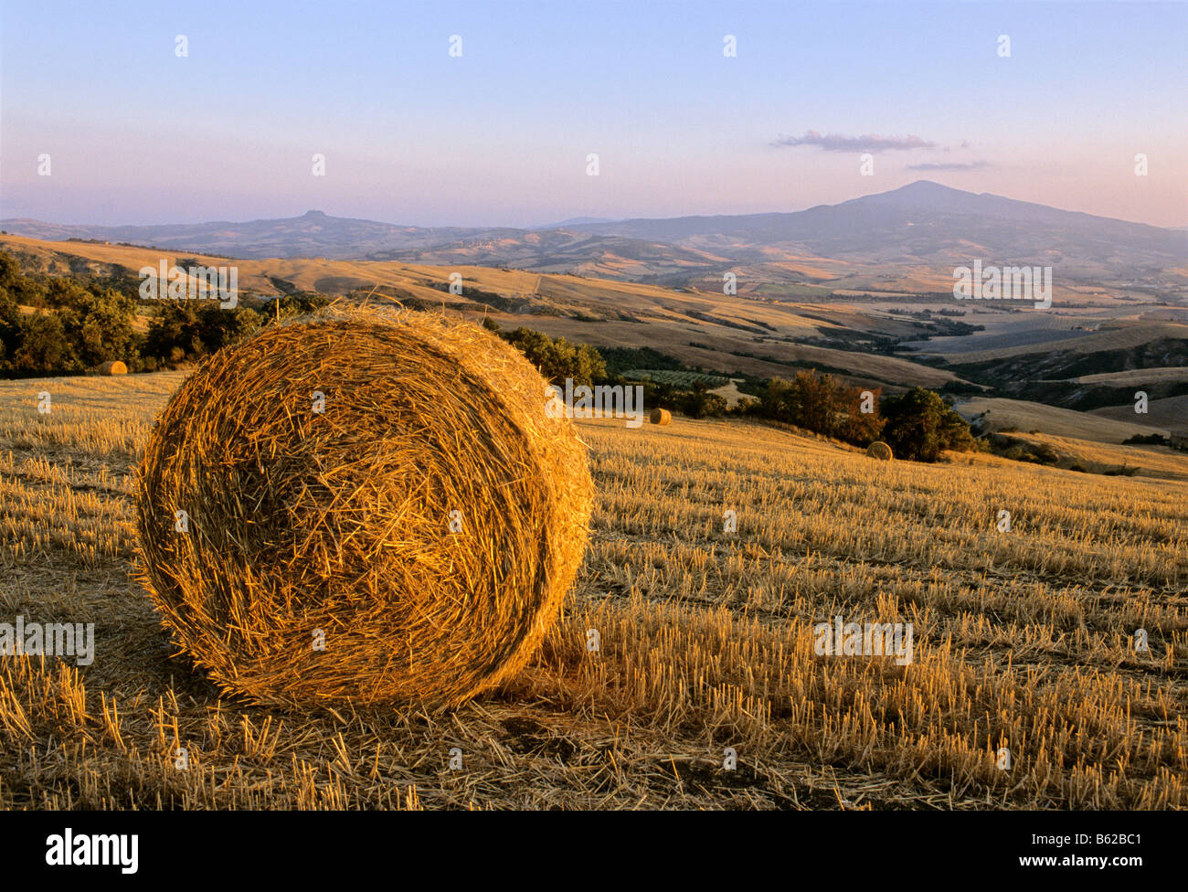 Bale of straw, harvested wheat fields, landscape in front of Radicofani and Monte Amiata at sunset, Val d' Orcia near Monticchi Stock Photo